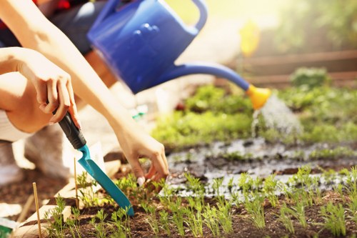 Team of tree surgeons reviewing ethical labour standards