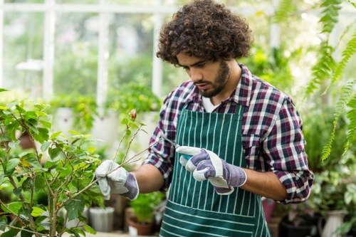 Tree surgery team reviewing a customer complaint process