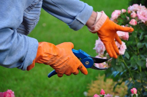 Tree surgery work in progress with pruning and maintenance in a residential Surbiton garden