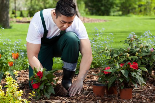 Preparation and safety checklist for storm damaged tree removal