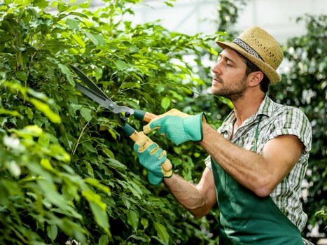 PCI compliant secure payment process for tree surgery services