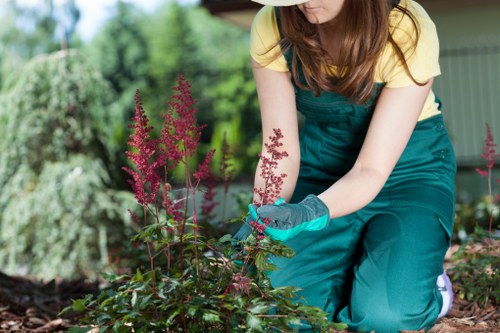 Local tree care team working in a Surbiton residential garden