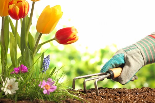 Final resolution stage in a tree surgeons complaints procedure