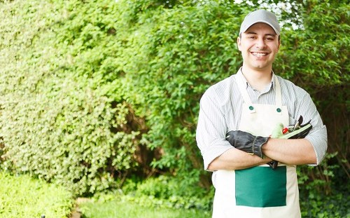 Tree surgery business committed to ethical working practices