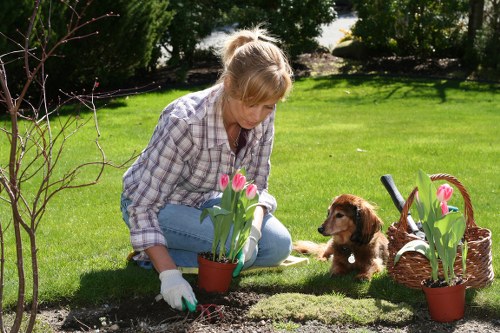 Trusted and secure payment system for Tree Surgeons Surbiton
