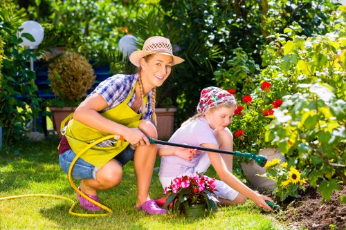 Professional tree surgery on a mature tree canopy