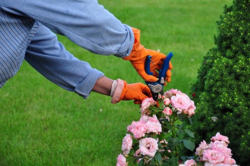 Sustainable tree surgery with recycling and low-emission transport