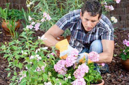 Pricing breakdown for tree removal and stump grinding in Surbiton